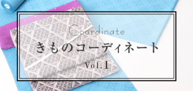 きものコーディネート vol.1