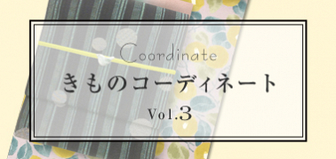 きものコーディネート vol.3
