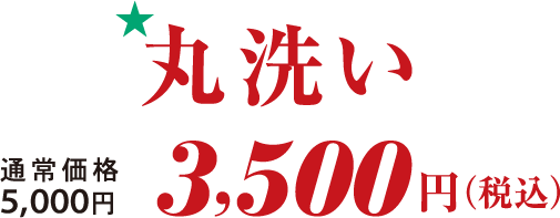 ★丸洗い　通常価格5,000円→3,500円(税込)