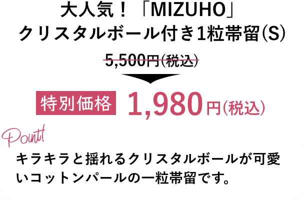 特別価格1,980円（税込） 