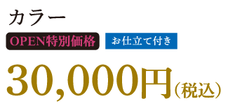 カラー　OPEN特別価格【お仕立て付き】30,000円(税込)