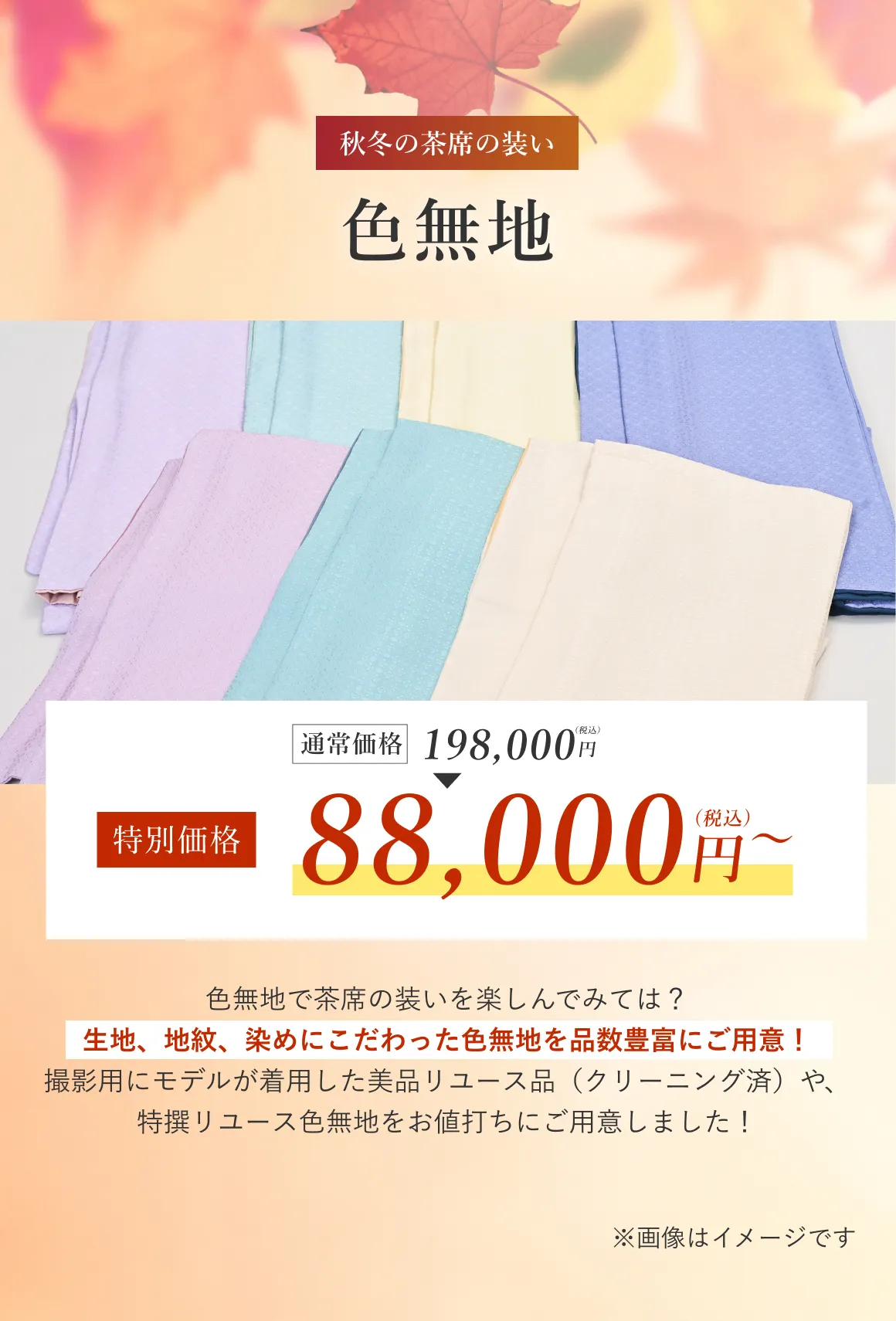 色無地