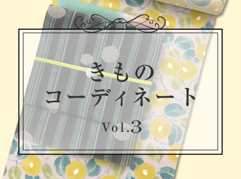 きものコーディネート Vol.3